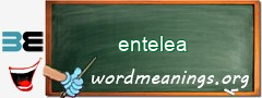 WordMeaning blackboard for entelea